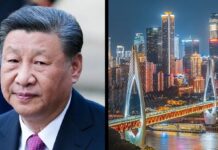 China Scraps 12,000 University Degrees in AI-Era Education Overhaul