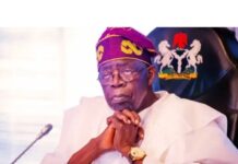 Tinubu Approves Conversion of Popular Polytechnic to Federal University