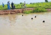 18-Year-Old Man Drowns in Pond in Danbatta, Kano State