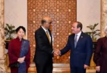 Singapore, Egypt Strengthen Economic Ties Through Investment